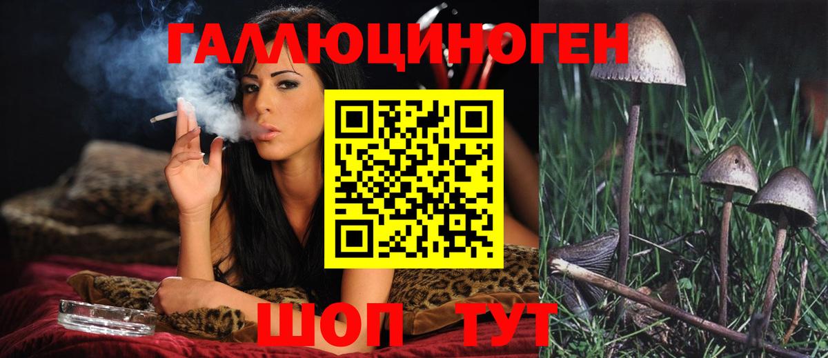 Галлюциногенные грибы Cubensis  Вход с VPN  Выкса  Галлюциногенные грибы GOLDEN TEACHER 